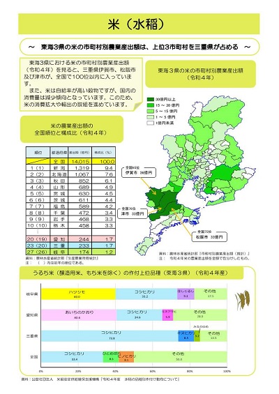 展示資料