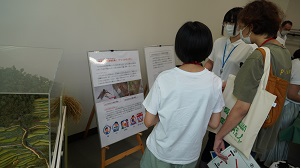 展示コーナー見学の様子