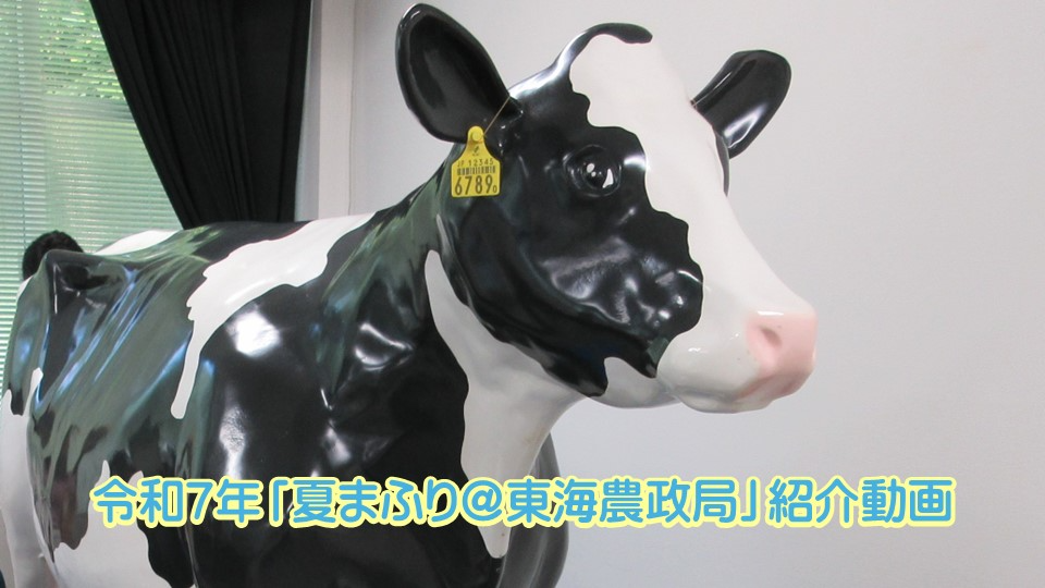 当日の様子（動画）