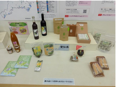展示の様子