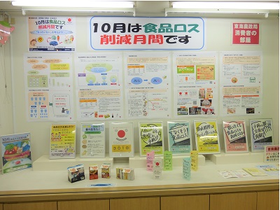 展示の様子