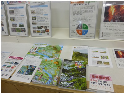 展示の様子