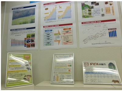 展示の様子