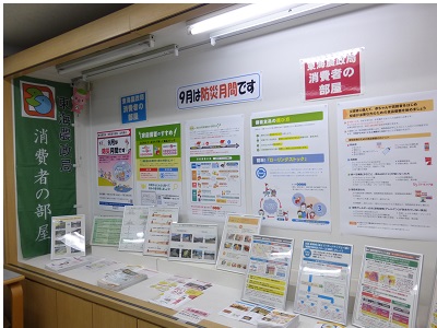 展示の様子