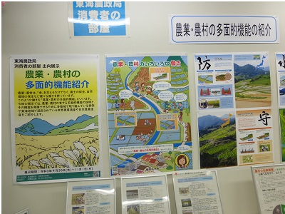 展示の様子