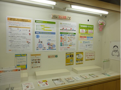 展示の様子