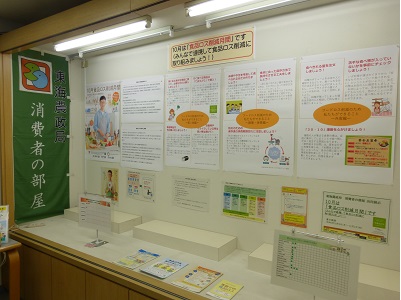 展示の様子