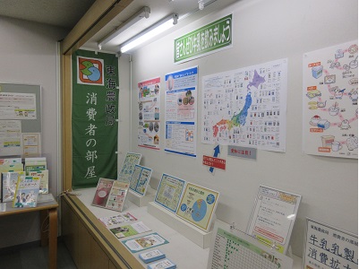 展示の様子
