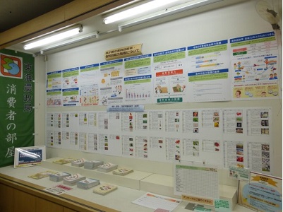 展示の様子