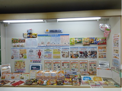 展示の様子
