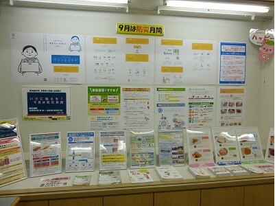 展示の様子
