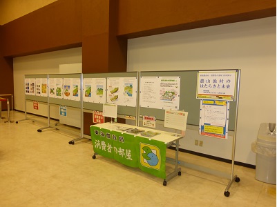 展示の様子