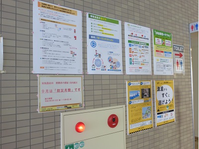 展示の様子