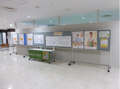展示の様子