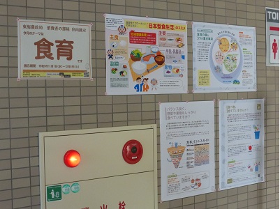 展示の様子