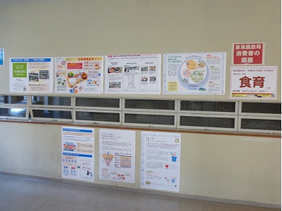 展示の様子