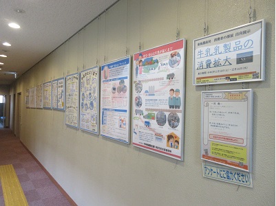 展示の様子