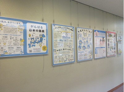 展示の様子