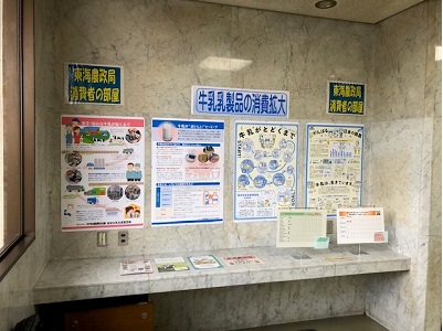 展示の様子