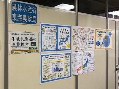 展示の様子