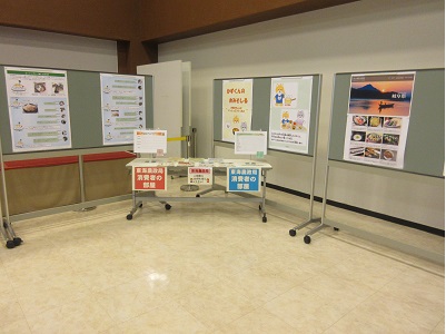 展示の様子