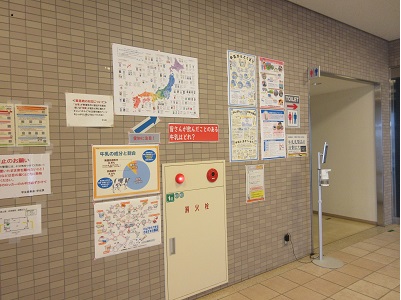 展示の様子