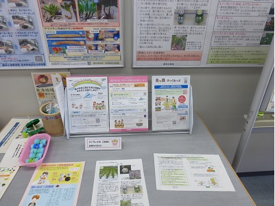 展示の様子