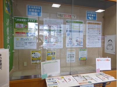 展示の様子