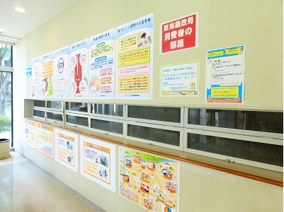 展示の様子