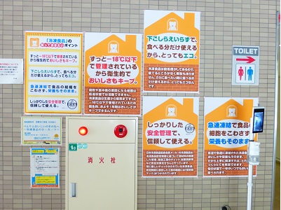 展示の様子