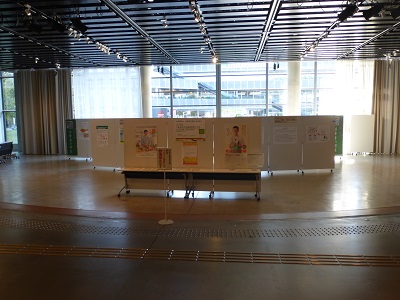 展示の様子