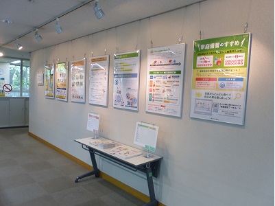 展示の様子