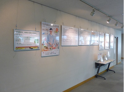 展示の様子