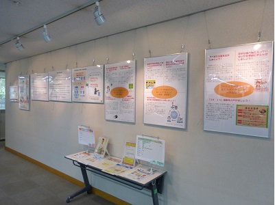展示の様子