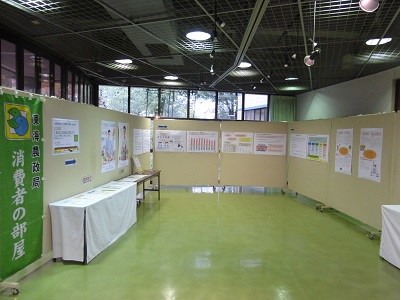 展示の様子