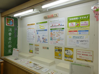 展示の様子