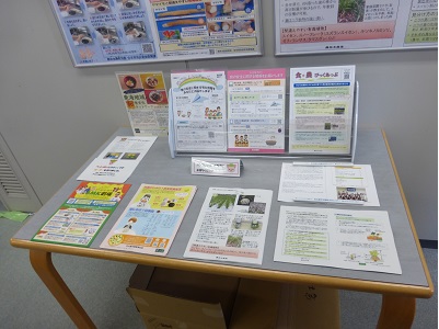 展示の様子