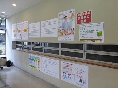展示の様子
