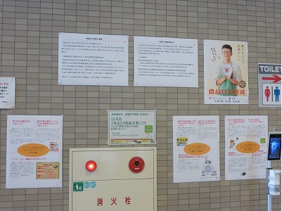 展示の様子