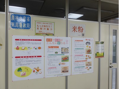 展示の様子