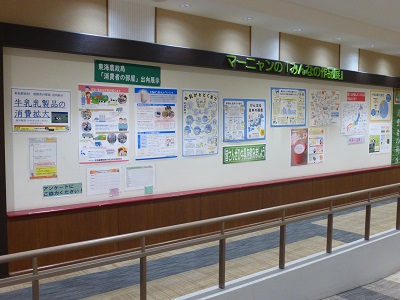 展示の様子