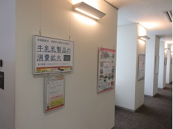 展示の様子