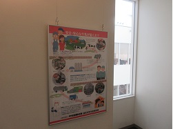 展示の様子