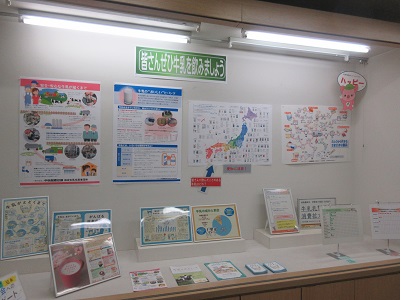 展示の様子