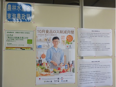 展示の様子
