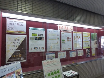 展示の様子