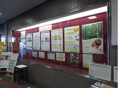 展示の様子