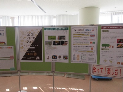 展示の様子