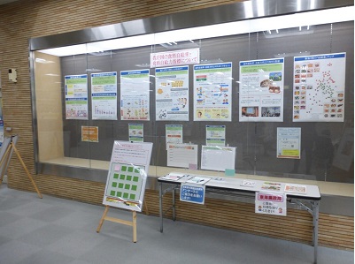 展示の様子