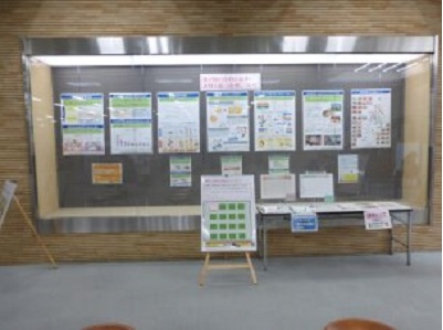 展示の様子